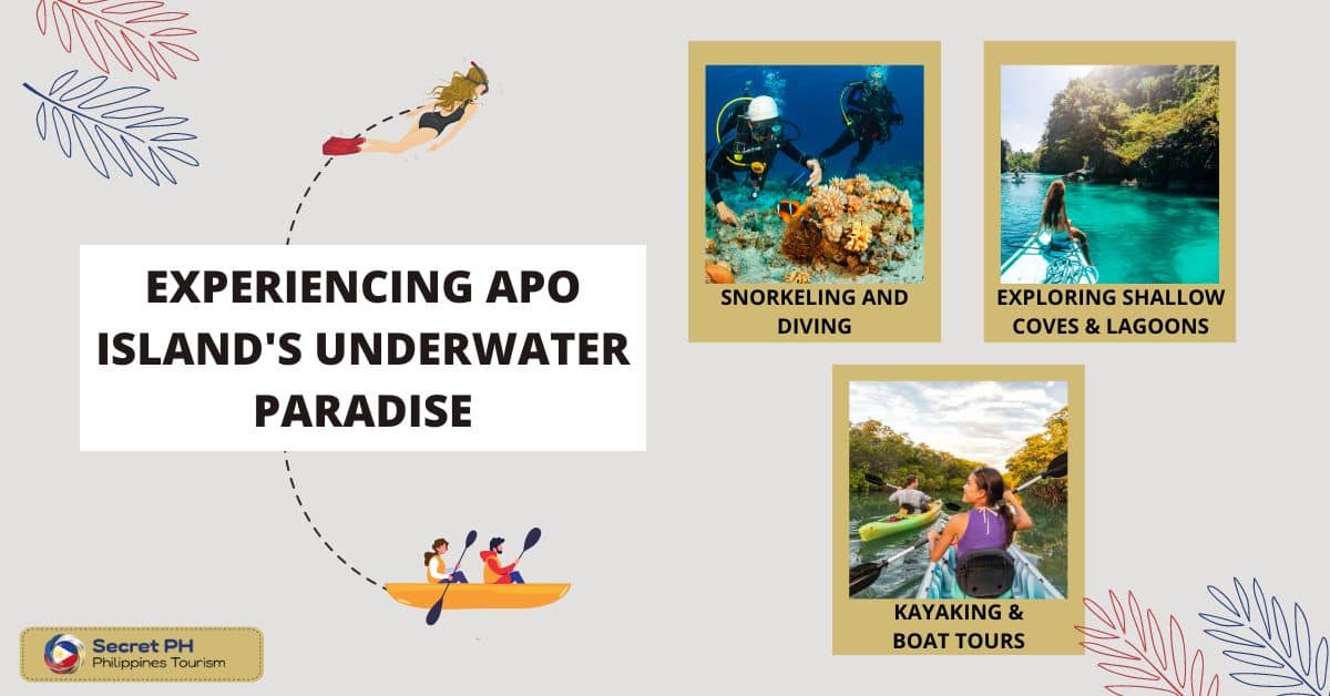 Experiencing Apo Island's Underwater Paradise