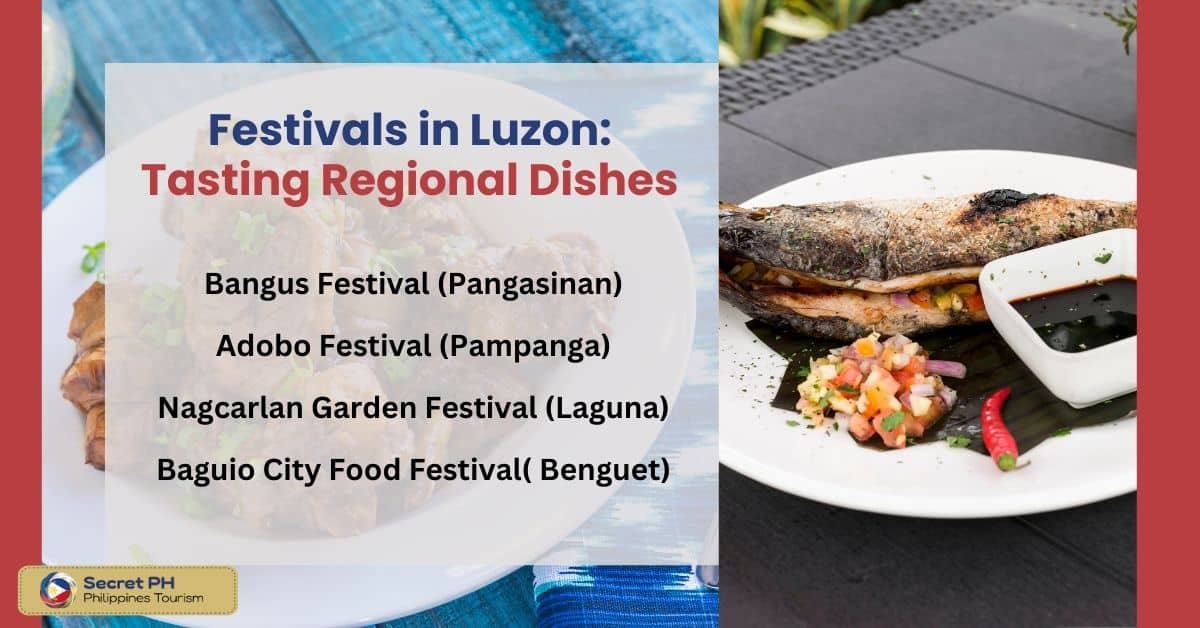 Festivals in Luzon: Tasting Regional Dishes