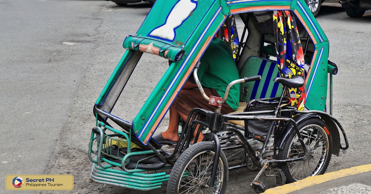 Government Regulations and Policies on Pedicabs
