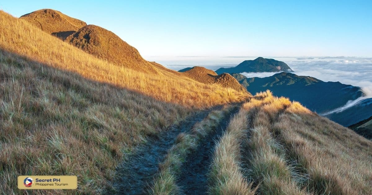 Mount Pulag Trail in Benguet Province