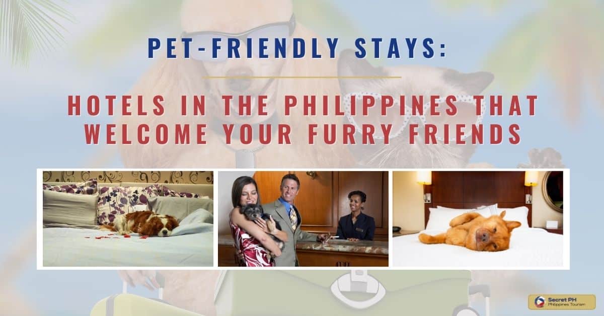 Pet-Friendly Stays Hotels in the Philippines That Welcome Your Furry Friends