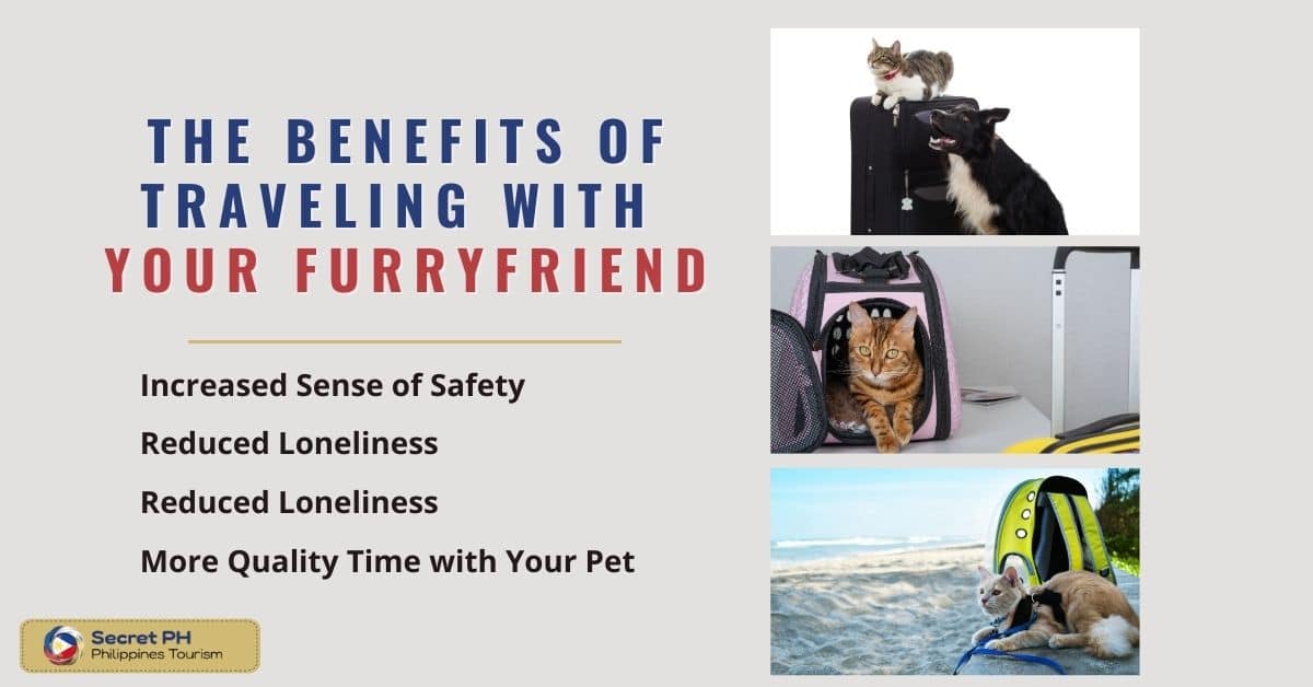 The Benefits of Traveling with Your Furry Friend