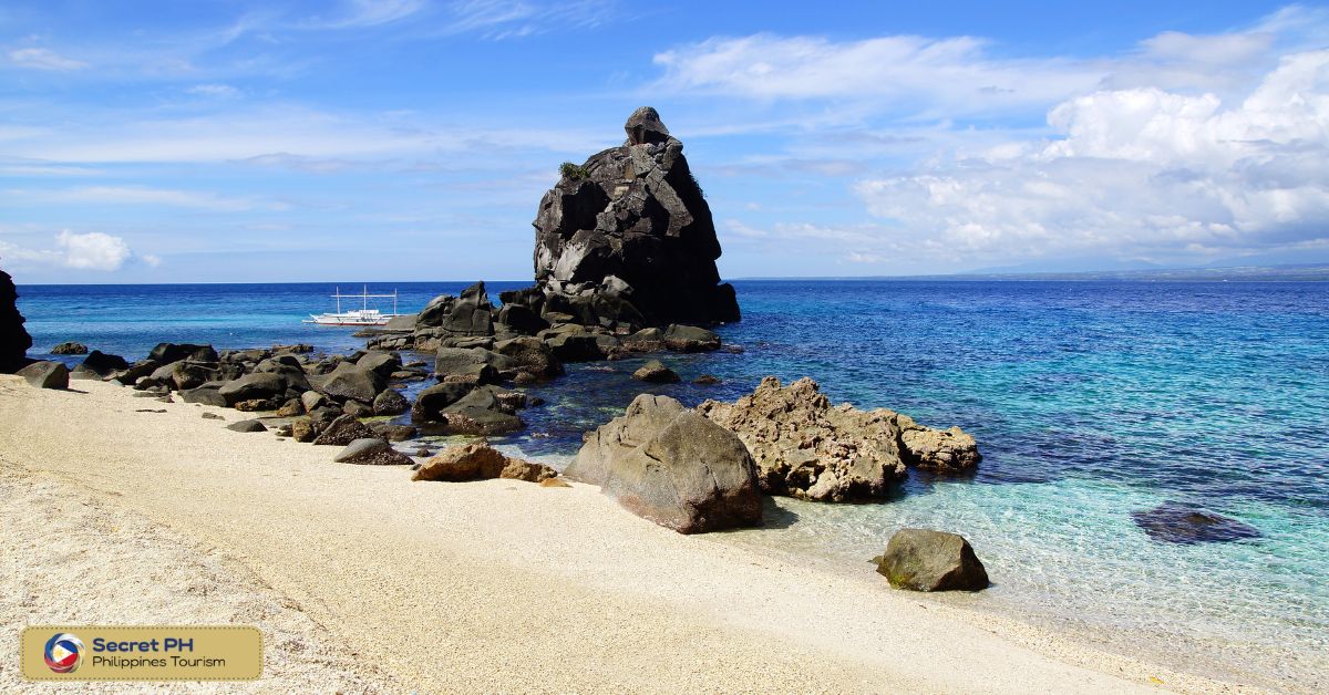 The Charm of Apo Island's Tranquility