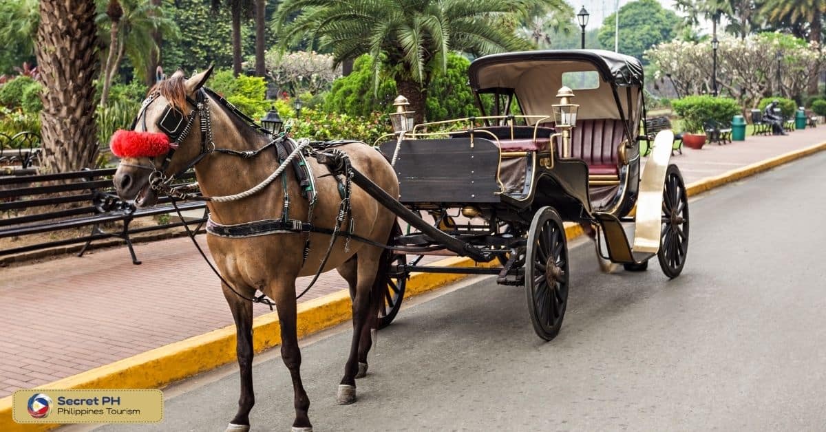 The Era of Horse-Drawn Carriages
