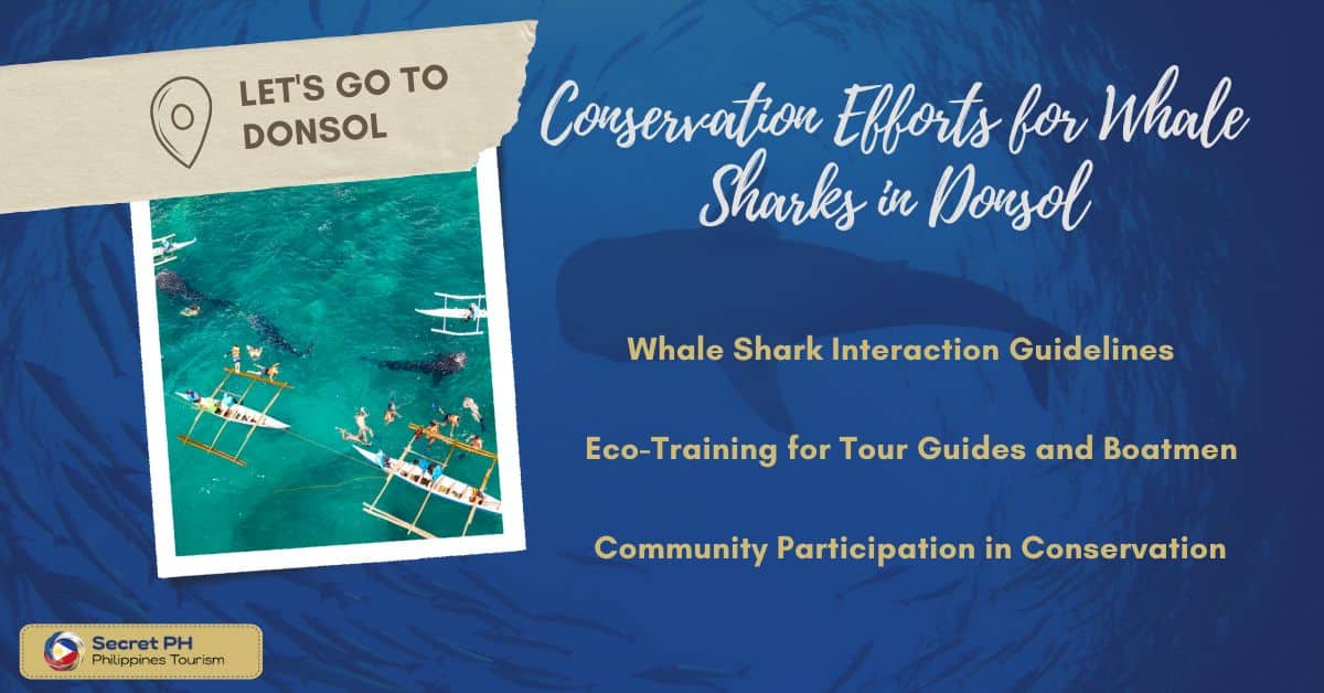 Conservation Efforts for Whale Sharks in Donsol