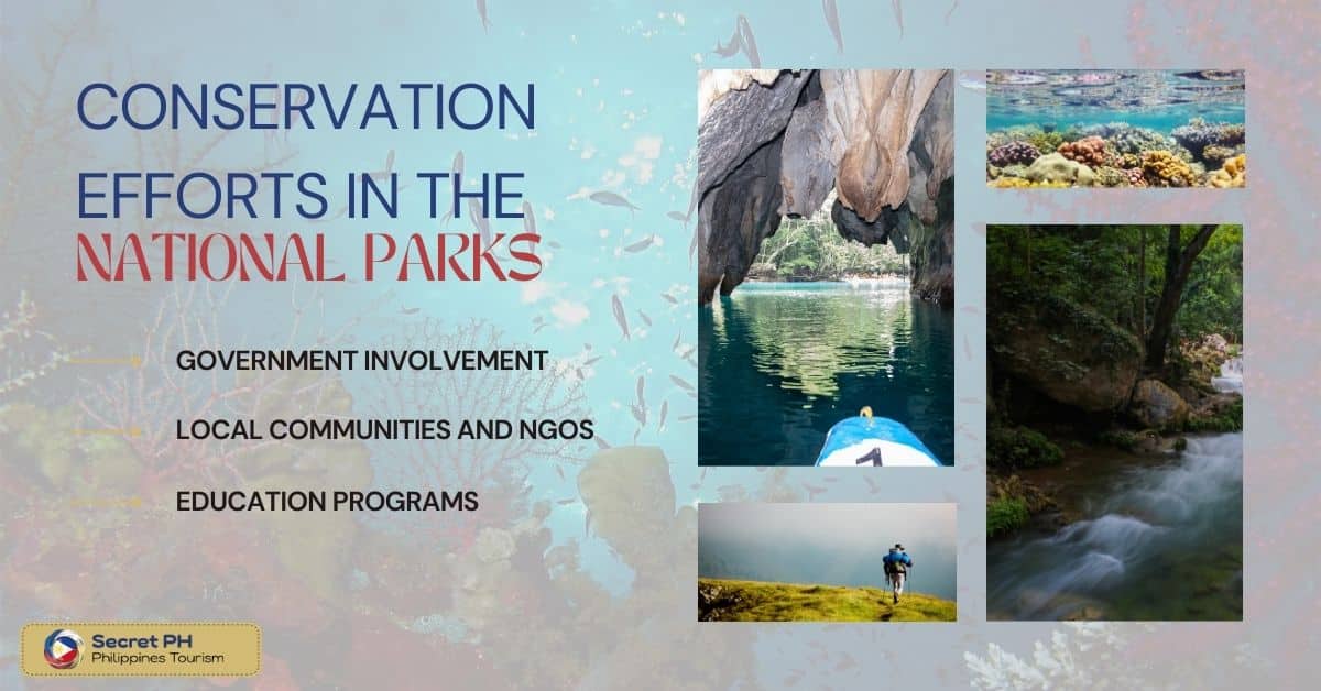 Conservation Efforts in the National Parks