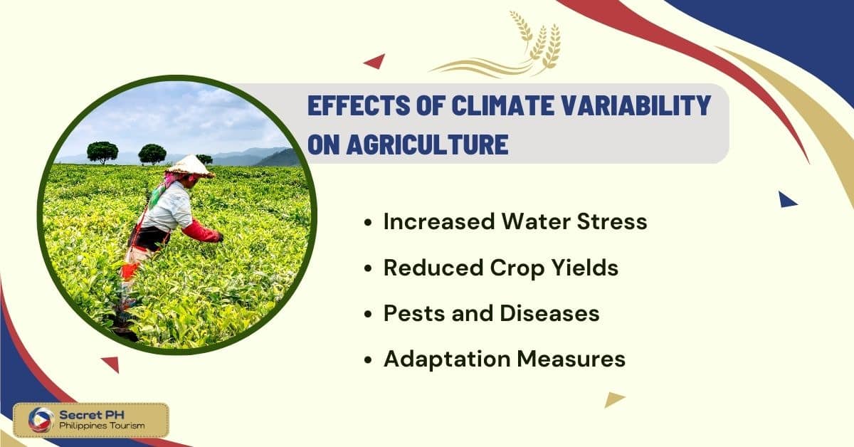 Effects of Climate Variability on Agriculture