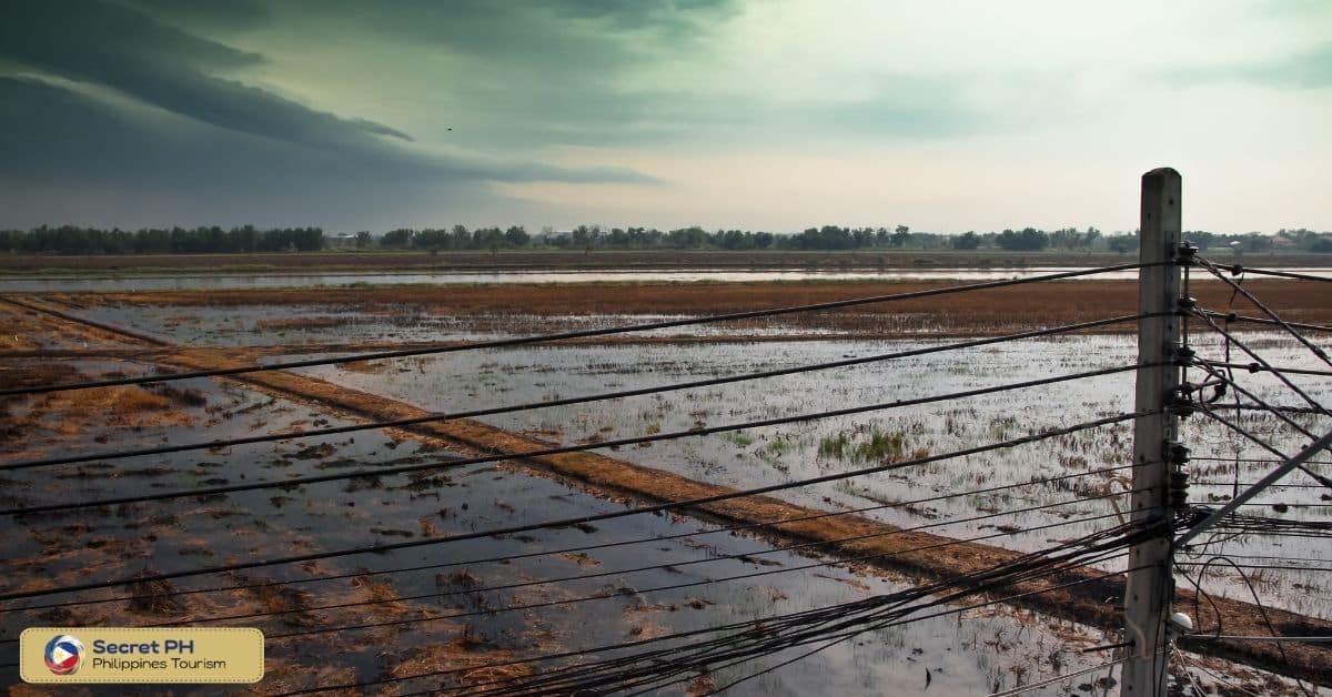 Effects of Climate Variability on Agriculture