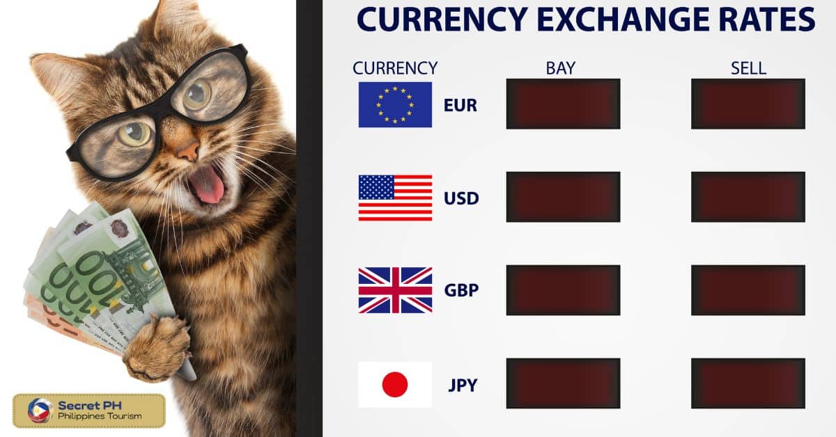 Factors Affecting Currency Exchange Rates