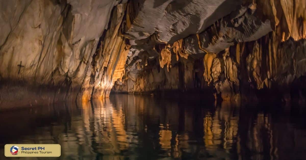The Fascinating Flora and Fauna Found in Caves