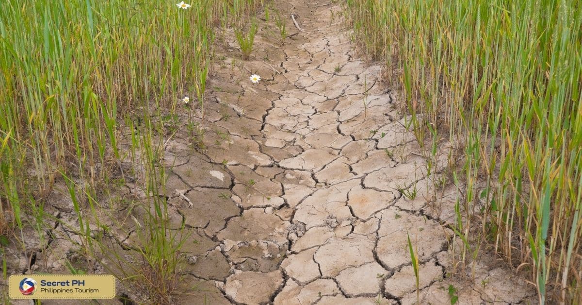 The Impact of Droughts on Filipino Farmers