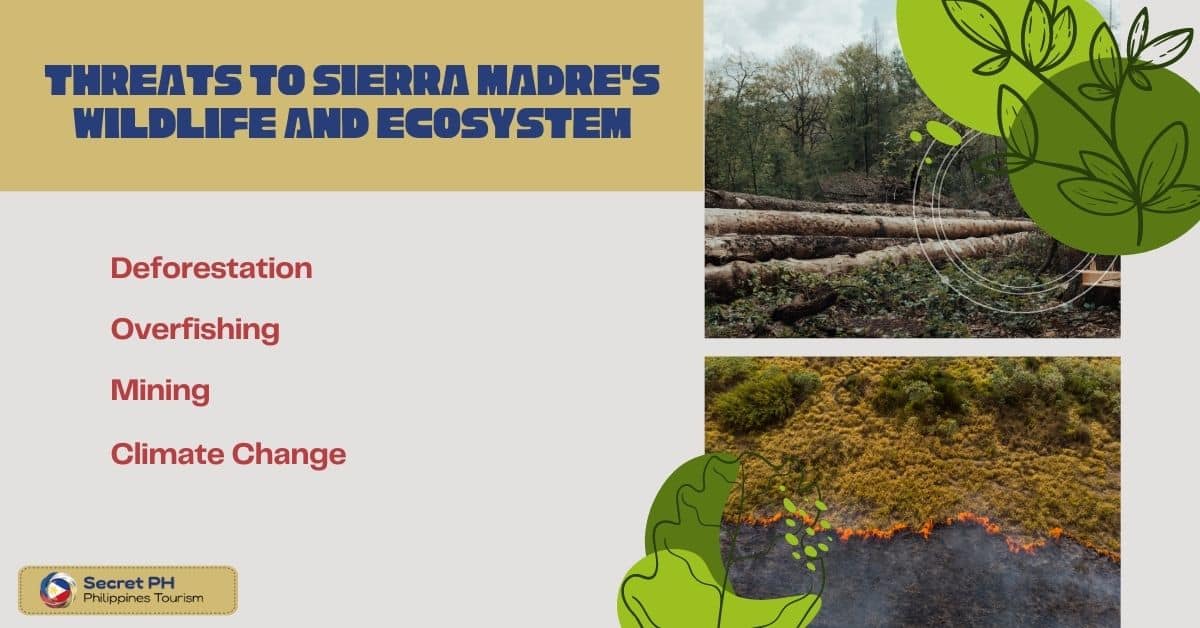 Threats to Sierra Madre's Wildlife and Ecosystem