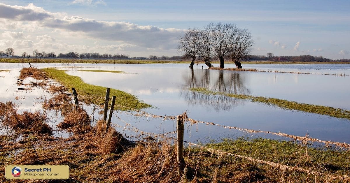 Typhoons and their Impact on Agriculture and Livelihood