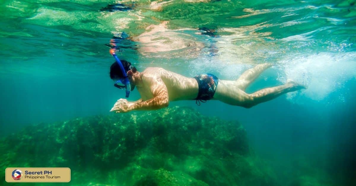 Underwater Treasures on Camotes Island