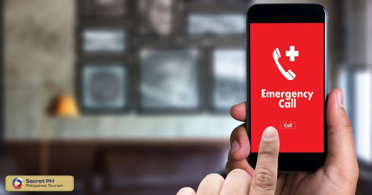 Using Mobile Applications for Emergency Services