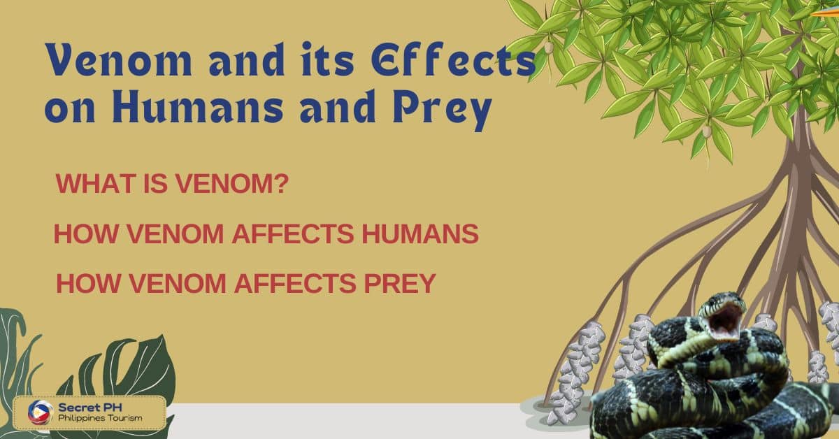 Venom and its Effects on Humans and Prey