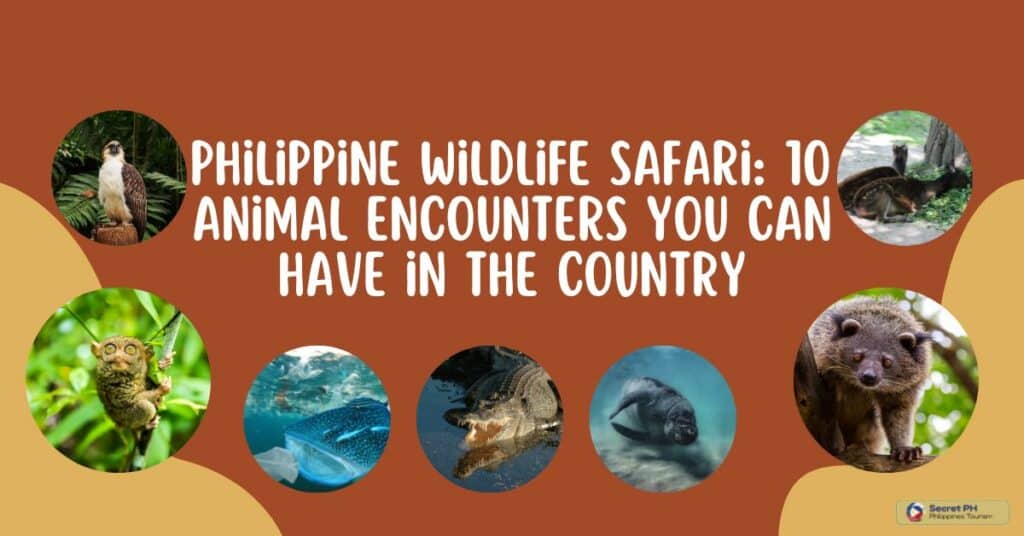 Philippine Wildlife Safari 10 Animal Encounters You Can Have in the Country