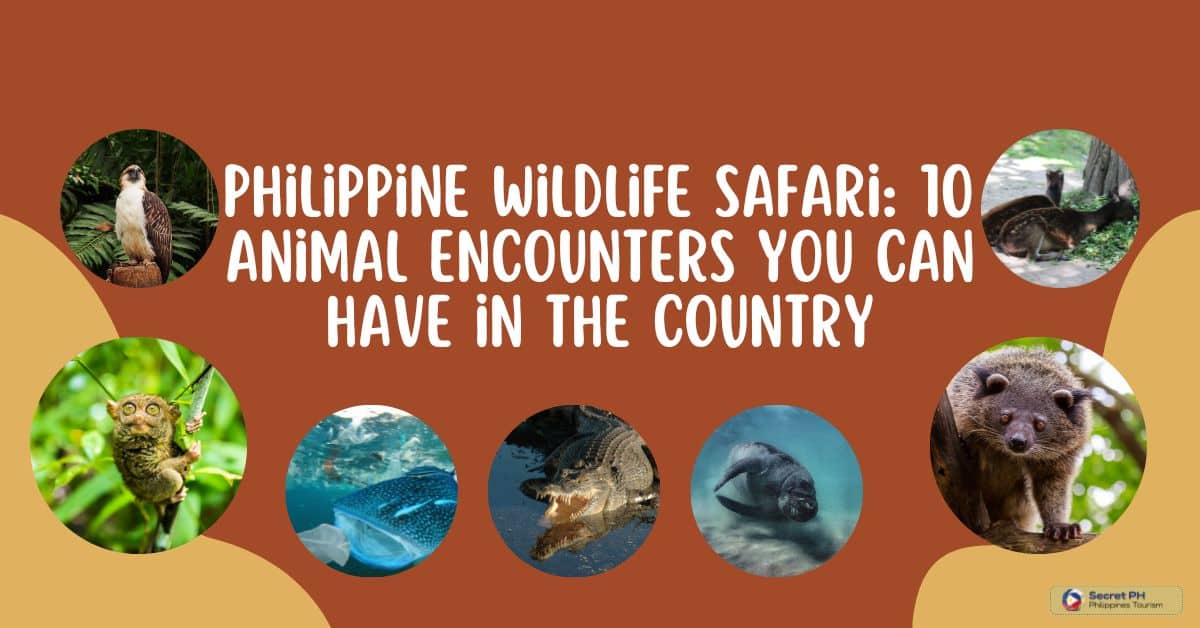 Philippine Wildlife Safari 10 Animal Encounters You Can Have in the Country