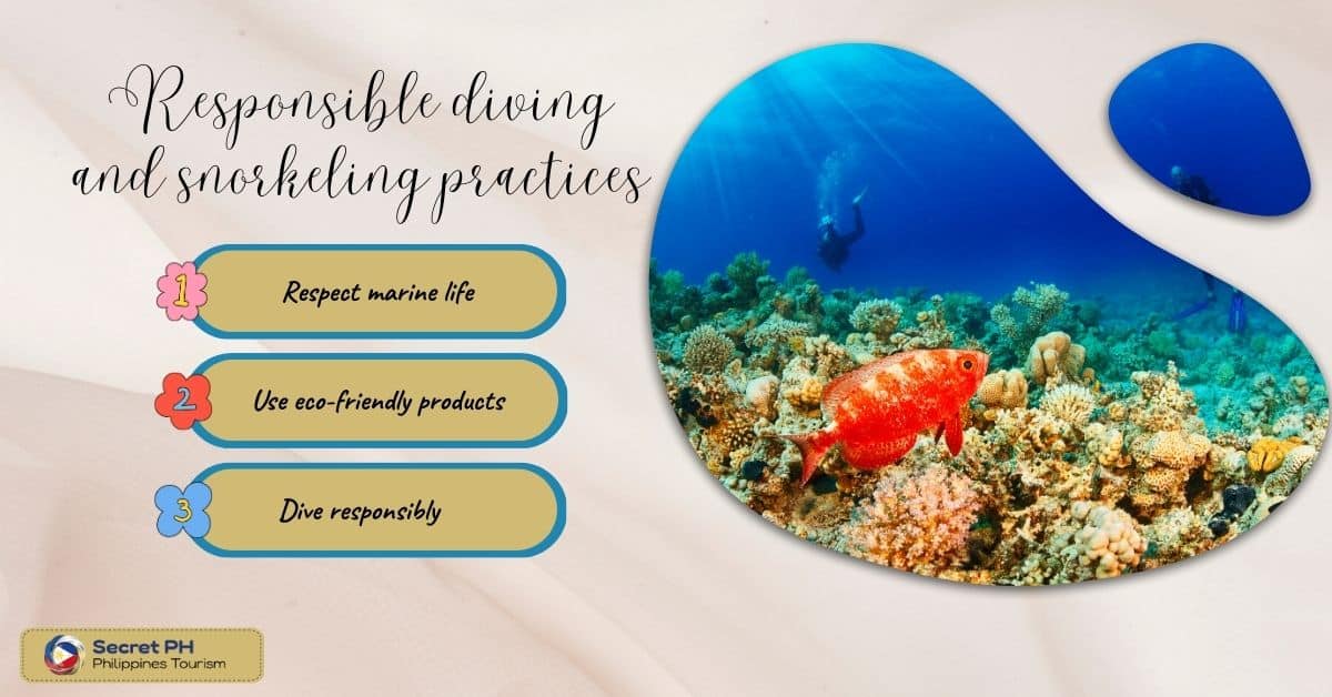 Responsible diving and snorkeling practices