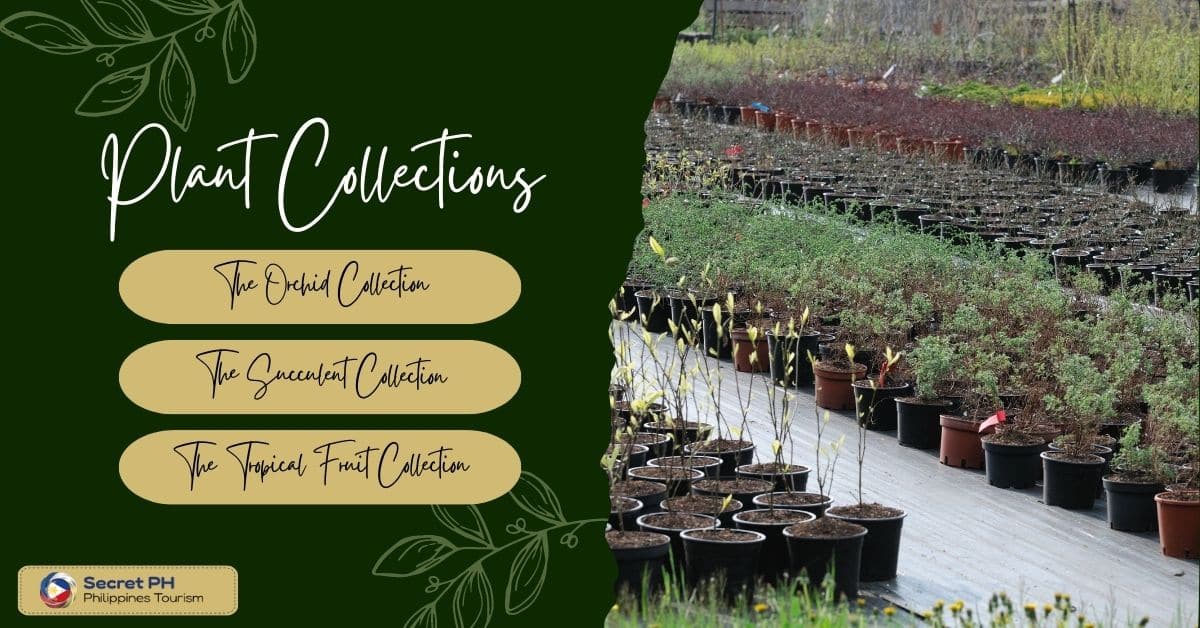 Plant Collections