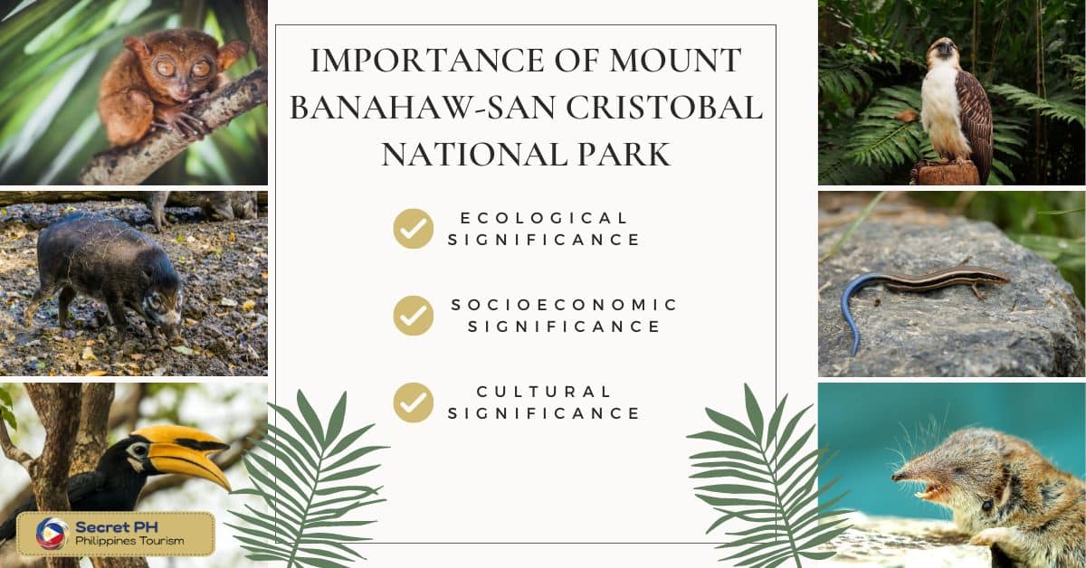 Importance of Mount Banahaw-San Cristobal National Park