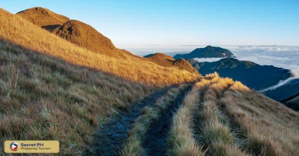 Mount Pulag