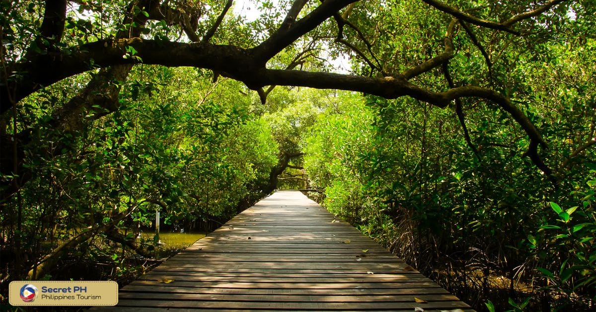 Relax amidst the Sabang Mangrove Forest in Puerto Princesa