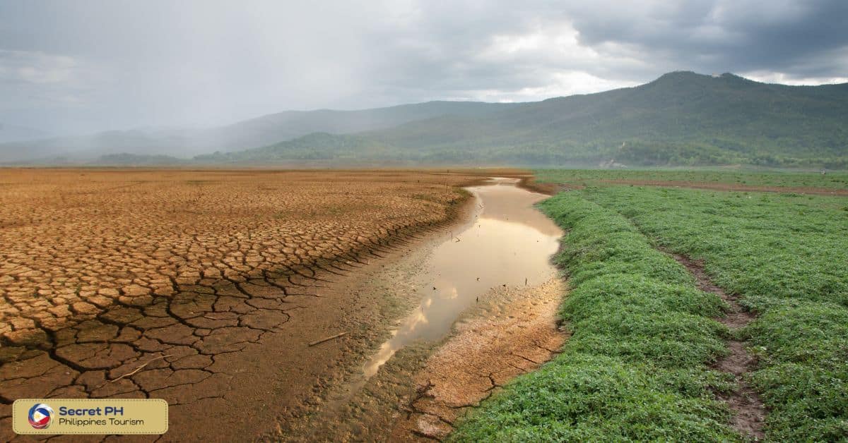 El Niño and La Niña