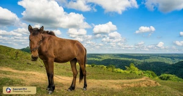 Agamata National Park and Wildlife Sanctuary