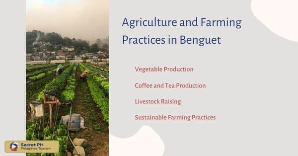 Agriculture and Farming Practices in Benguet