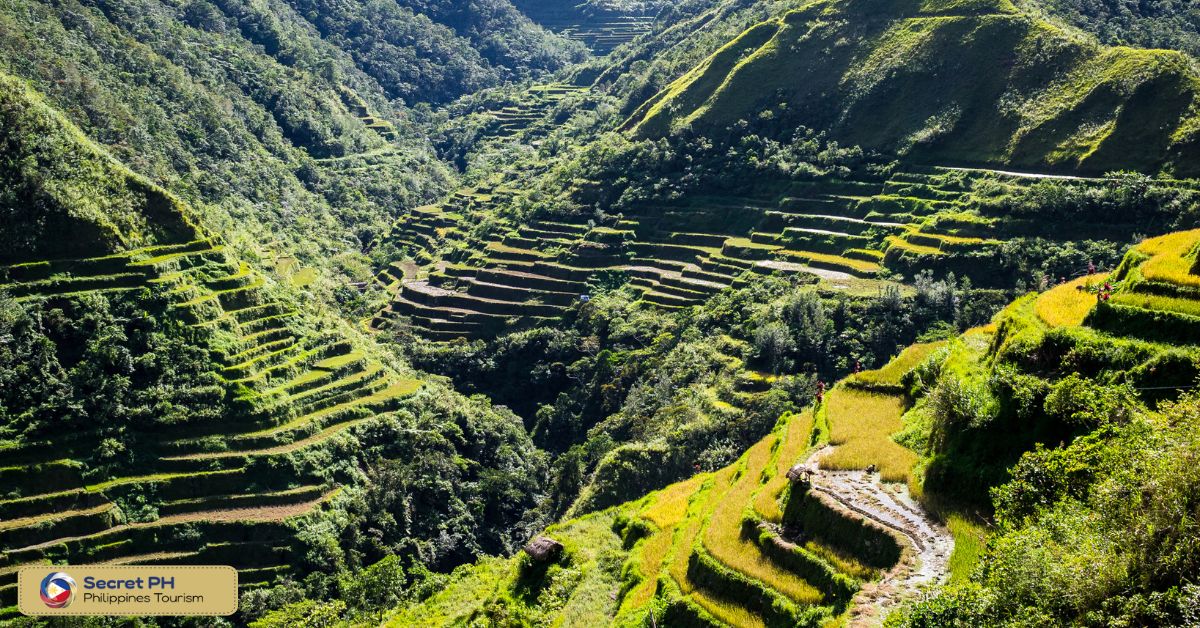 Banaue Rice Terraces: An Ancient Engineering Marvel in Ifugao