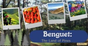 Benguet: The Land of Pines