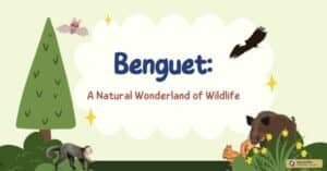  Benguet_ A Natural Wonderland of Wildlife