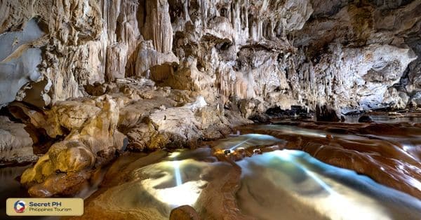 Biodiversity of Lussok Cave