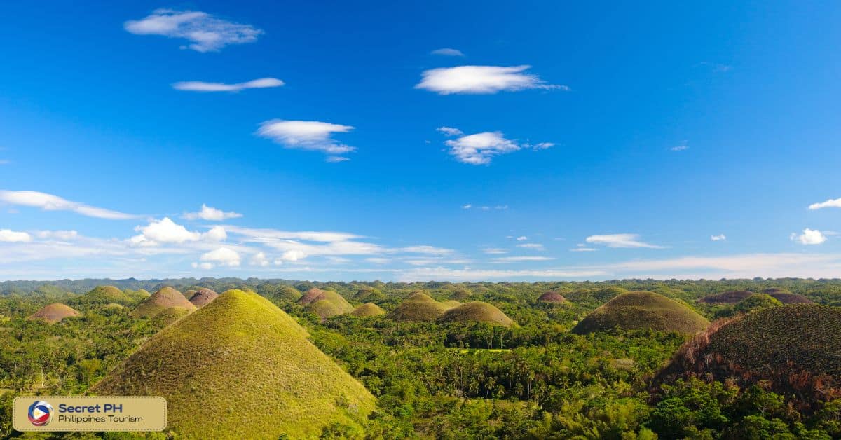 Chocolate Hills_ A Unique Geological Formation in Bohol