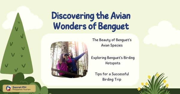 Discovering the Avian Wonders of Benguet