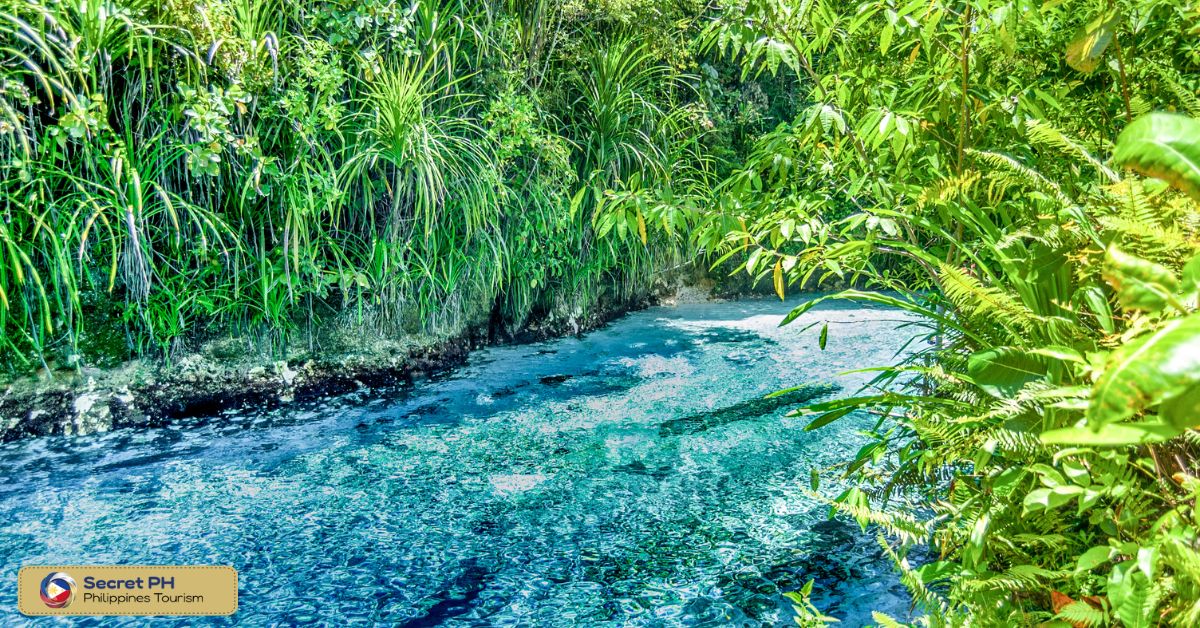 Environmental Conservation Efforts at Hinatuan Enchanted River