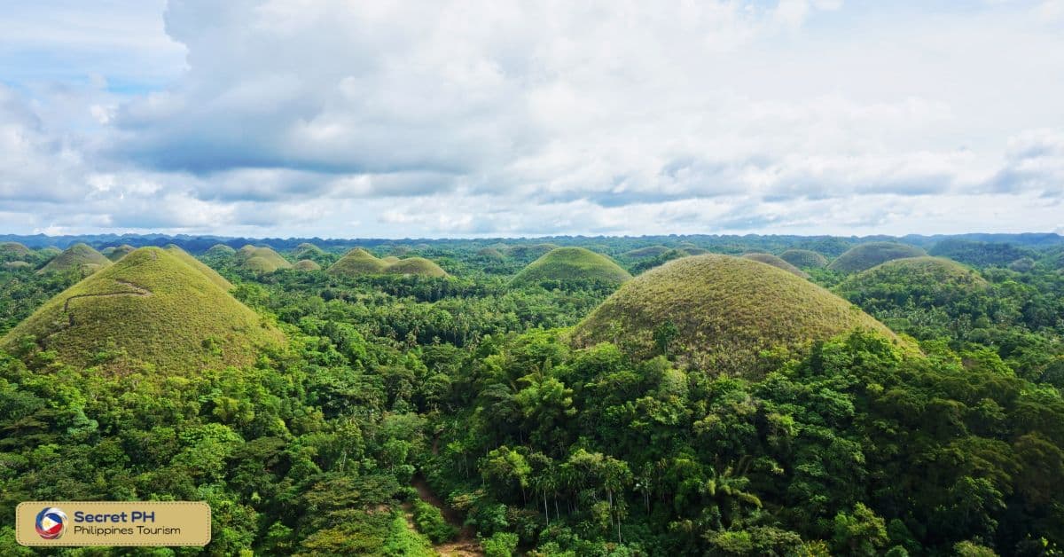 Explore the Chocolate Hills in Bohol