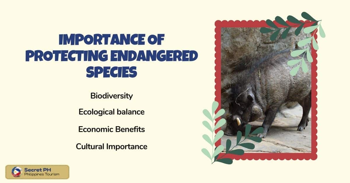 Importance of Protecting Endangered Species 
