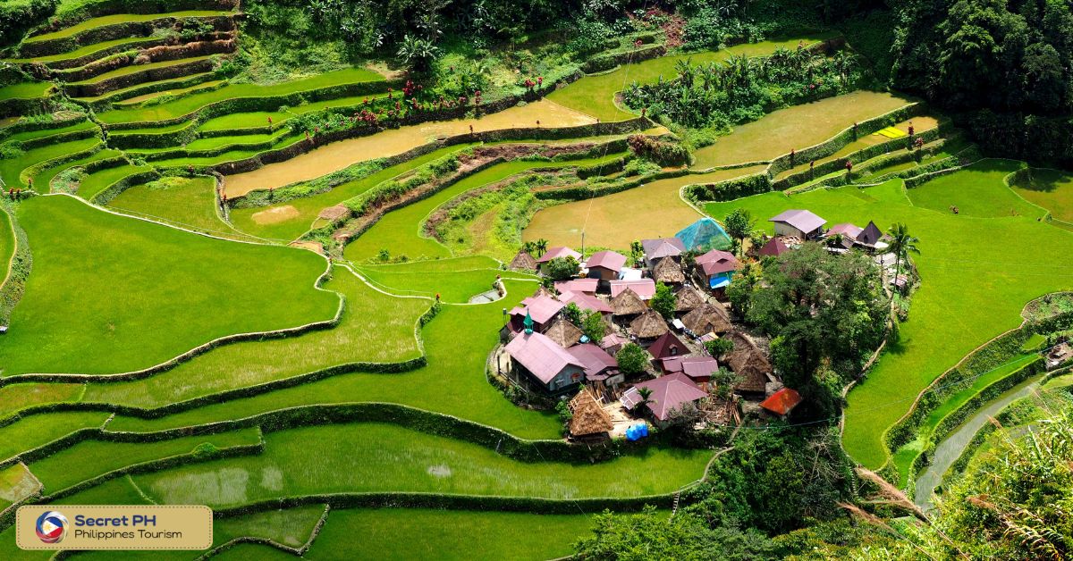 Manabo Rice Terraces_ A Stunning UNESCO World Heritage Site
