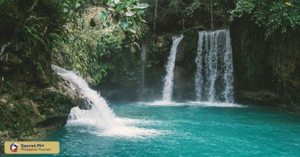 Preservation Efforts_ Protecting the Fragile Ecosystem of Gololan Falls