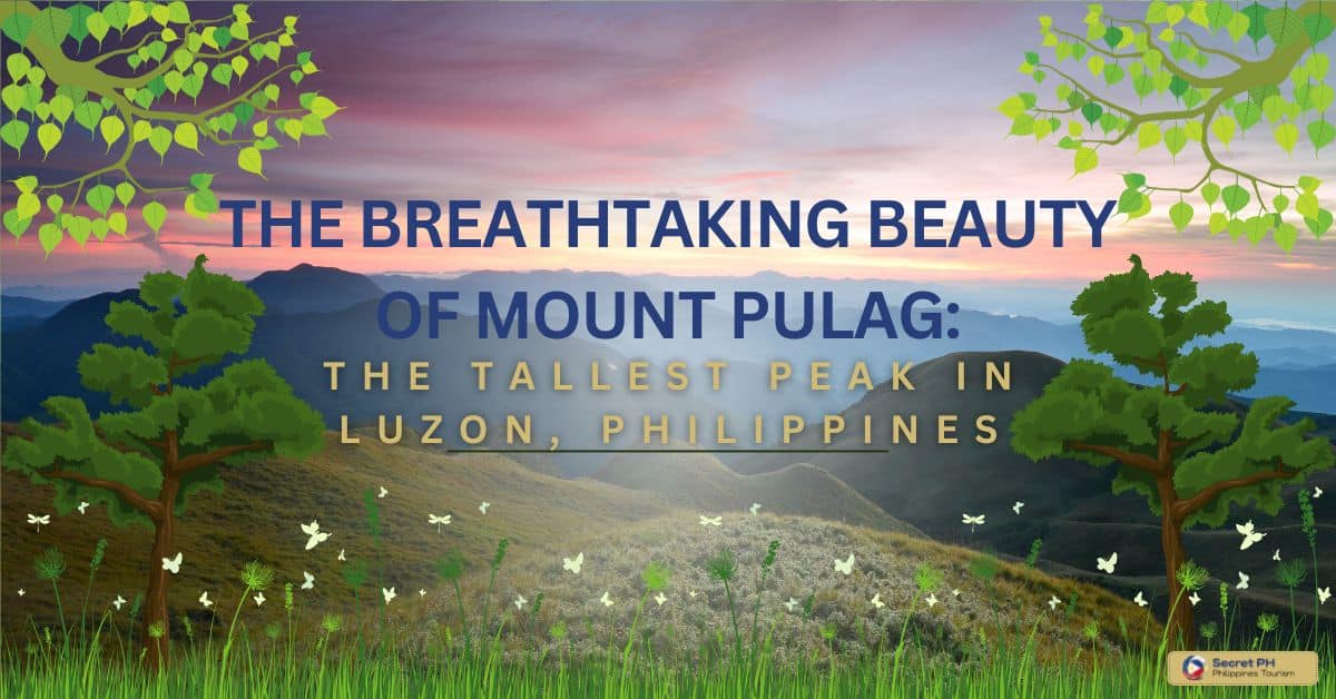 The Breathtaking Beauty of Mount Pulag The Tallest Peak in Luzon, Philippines