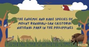 The Endemic and Rare Species of Mount Banahaw-San Cristobal National Park in the Philippines