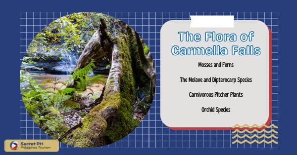The Flora of Carmella Falls