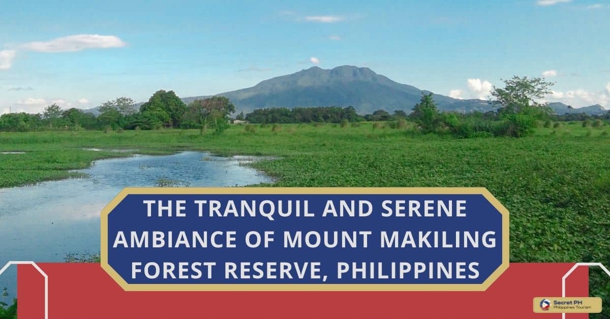 The Tranquil and Serene Ambiance of Mount Makiling Forest Reserve, Philippines