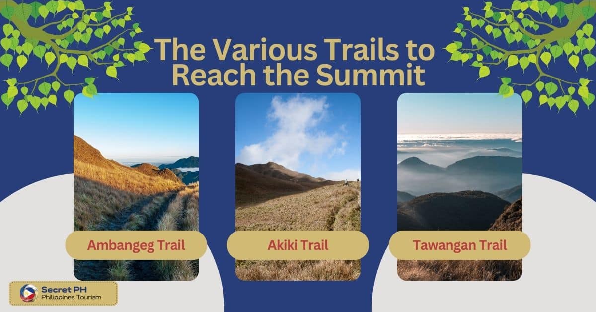 The Various Trails to Reach the Summit