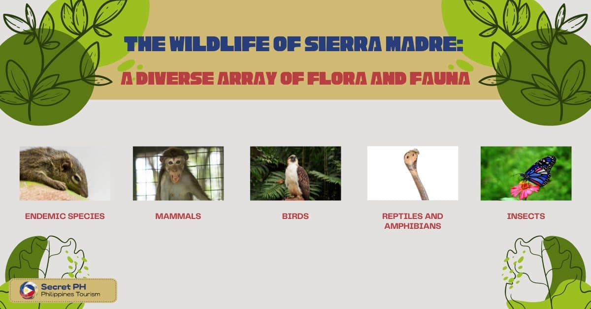 The Wildlife of Sierra Madre A Diverse Array of Flora and Fauna