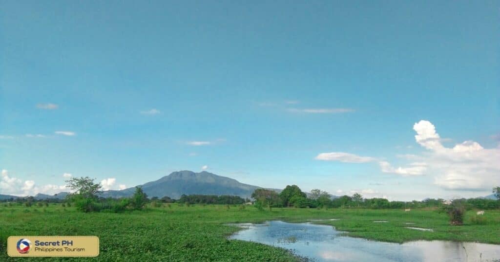 The Tranquil And Serene Ambiance Of Mount Makiling Forest Reserve the-tranquil-and-serene-ambiance-of-mount-makiling-forest-reserve