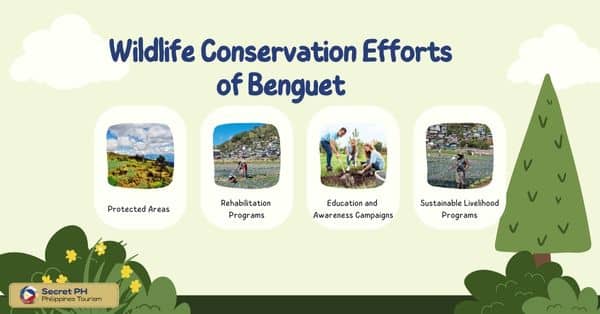 Wildlife Conservation Efforts of Benguet