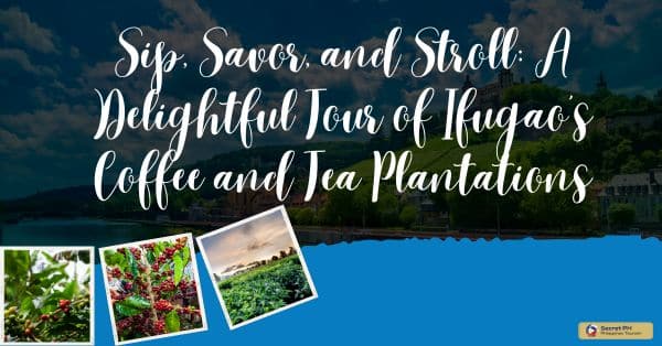 Sip, Savor, and Stroll: A Delightful Tour of Ifugao's Coffee and Tea Plantations
